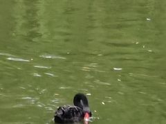 -宿豫区运河湾森林动物园