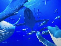 -海合安青岛极地海洋公园