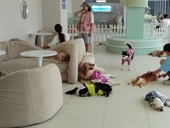 -怪兽屋·羊驼·猫咖·狗咖(俊华广场店)
