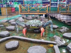 -上海大自然野生昆虫馆(东方明珠·爬宠昆虫探索中心)