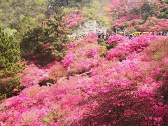 -木兰云雾山