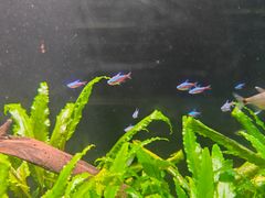 -上海海洋水族馆