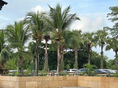 -三亚海棠湾万丽度假酒店