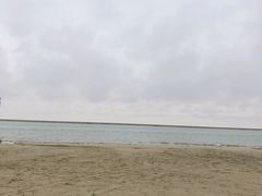 -碧海金沙