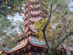 -塔子山公园