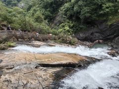 -广州白江湖森林公园