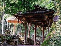 -杨家堂村