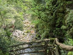 -碧峰峡风景区