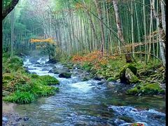 -井冈山风景名胜区