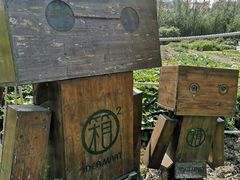 -田园东方蜜桃村的田野营地