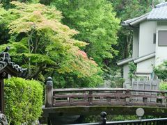 -西芳寺(苔寺)