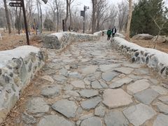 -阳台山自然风景区