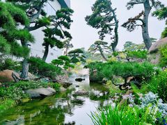 -罗红摄影艺术馆