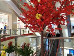 -莲花国际广场