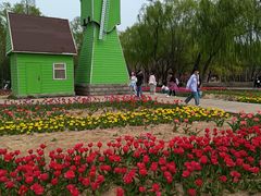 -石家庄市植物园