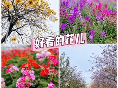 -盈香心动乐园