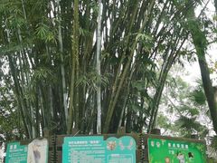 -海南热带野生动植物园