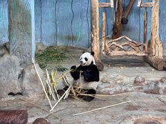 -海南热带野生动植物园