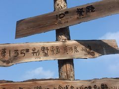-北马山庄植趣咖啡