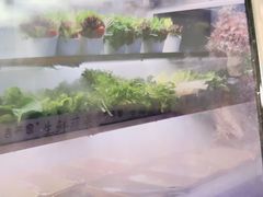-吉布鲁牛排海鲜自助(温江合生汇店)