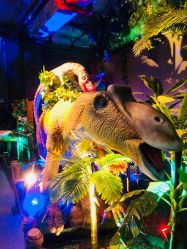 -恐龙探索乐园(磁器口店)