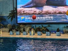 -泉城欧乐堡海洋极地世界
