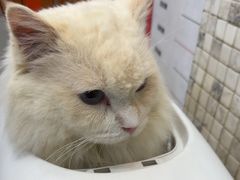 -联合动物医院(光谷诊疗中心)