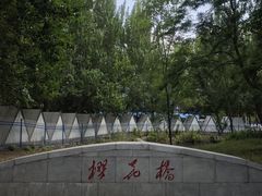 -长白岛森林公园