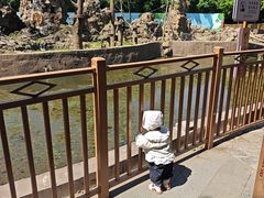 -合肥野生动物园