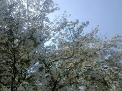 -为民烧烤吧.自贡爆炒菜.成都烧烤(收录20年好店)