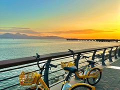 -深圳湾公园(南山区)