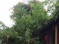 -鲤院·新中式美学·庭院餐厅(夫子庙店)