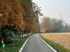 -桤木河湿地公园