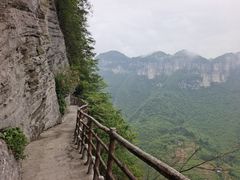 -鹿院坪生态旅游景区