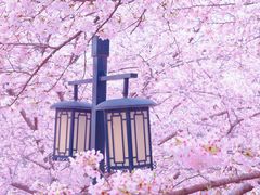 -苏州上方山国家森林公园