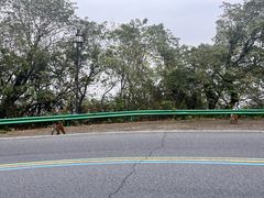 -句容茅山景区