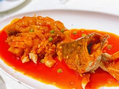 松鼠大桂鱼-绿波廊(豫园店)