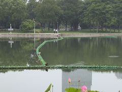-尚贤河湿地