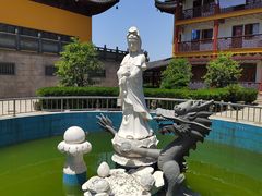 -上海青龙寺
