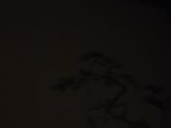 -臻品足道(后湖店)