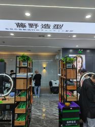 点击看大图 -藤野造型