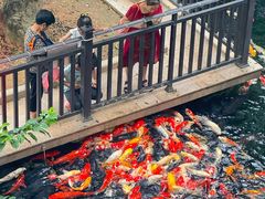 -新世纪大酒楼·30年南海菜