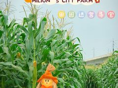 -光明小镇欢乐田园
