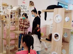 -喵匠猫主题咖啡(凯德和平广场店)