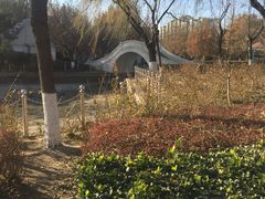 -康庄公园