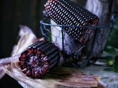 -鸿港海鲜批发市场