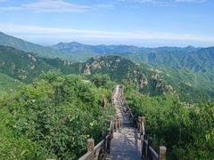 -大岭沟猕猴桃谷风景区