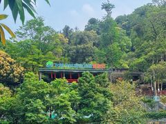 -天鹿湖森林公园