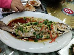 -烁佳海鲜大馅饺子
