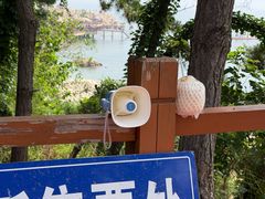 -养马岛旅游度假区